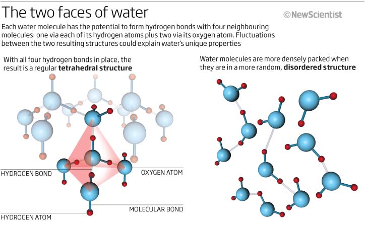 Two faces of water @ New Scientist Two faces of water @ New Scientist