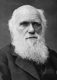 Photo from American Museum of Natural History: One of the last photographs taken of Charles Darwin, circa 1878. Photo from American Museum of Natural History: One of the last photographs taken of Charles Darwin, circa 1878.