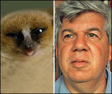 Animation by Patterson Clark of lemur into Stephen Jay Gould Animation by Patterson Clark of lemur into Stephen Jay Gould