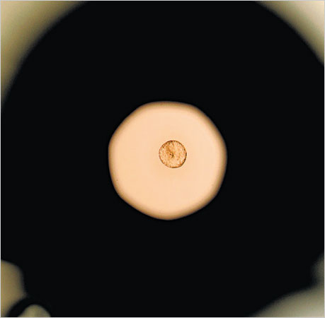 An embryo, as seen through the microscope at a fertility clinic in La Jolla, CA An embryo, as seen through the microscope at a fertility clinic in La Jolla, CA
